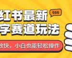 小红书最新生僻字赛道玩法，收益高见效快，小白也能轻松操作