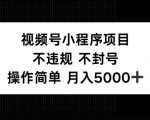 视频号小程序项目，不违规不封号，操作简单 月入5000+