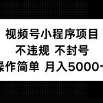 视频号小程序项目，不违规不封号，操作简单 月入5000+