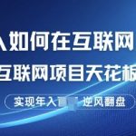 普通人如何在互联网上创业，互联网项目天花板，逆风翻盘