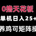 0撸单机日入25+ 可批量操作 无需养鸡 长期稳定 做了就有