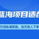 抖音蓝海小赛道私域变现项目，单价9.9单天变现100+，实操玩法分享给你