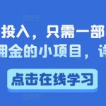 低门槛零投入，只需一部手机，轻松获取佣金的小项目，详细教学