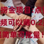 海外捞金项目点赞一个视频可以赚0.2美金，超简单可批量!