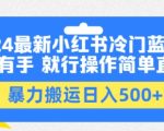 2024最新小红书冷门蓝海项目，有手就行操作简单直接，暴力搬运日入500+