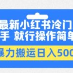 2024最新小红书冷门蓝海项目，有手就行操作简单直接，暴力搬运日入500+