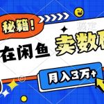 靠在闲鱼卖数码产品月入过W+的最新秘籍0基础教学，新手快速上手