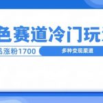 新号5条作品涨粉1600+，戒色赛道冷门玩法，教程送你