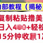 复制粘贴撸美刀，日入多张，内部教程(揭秘)，懒人捡钱，长期自动收入