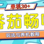 番茄畅听养机教程与玩法，单机一天30+
