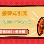 快手搬砖式引流，不废号，不养号，立马见效，单日引流300+精准创业粉