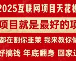 卖项目就是最好的项目，2025年互联网项目天花板