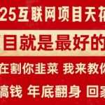 卖项目就是最好的项目，2025年互联网项目天花板