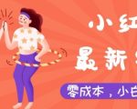小红书最新赛道，零成本，小白轻松操作