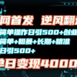 全网首发，简单操作日引500+创业粉，简单+粗暴+长期+精准