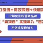 知识付费独家玩法：精准引流+高效变现，简单复制成功模式，最新IP共创导师训练营玩法