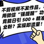 不剪视频不发作品，视频号私信日引 500 + 精准创业粉?实操即流量!