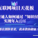 2025-互联网项目天花板”知识付费”卖项目合伙人镰刀训练营
