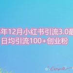 2024年12月小红书引流最新版，日均引流100+创业粉