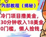 冷门项目撸美刀，30分钟收入18美刀，0门槛，懒人捡钱，无脑操作