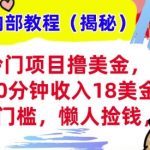 冷门项目撸美刀，30分钟收入18美刀，0门槛，懒人捡钱，无脑操作