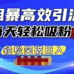 粗暴高效引流，单人每天轻松吸粉500+，轻松突破日入多张