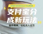 利用音乐综艺解说视频，挣支付宝分成收益，每天1-2小时，月入过W