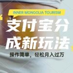 利用音乐综艺解说视频，挣支付宝分成收益，每天1-2小时，月入过W