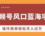 视频号风口蓝海项目，中老年人的流量密码，操作简单轻松月入过W