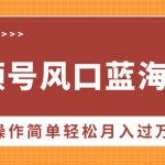 视频号风口蓝海项目，中老年人的流量密码，操作简单轻松月入过W