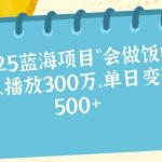 2025蓝海项目“会做饭的猫”，播放300万，单日变现多张