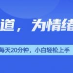 小众赛道，我的治愈系电子抱枕，让用户为情绪买单