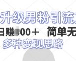 全新升级男粉引流方法，不需要真人出境，不需要你有才艺，二创风格 简单暴力