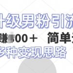 全新升级男粉引流方法，不需要真人出境，不需要你有才艺，二创风格 简单暴力