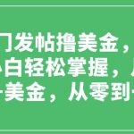 最新冷门发帖撸美金，无脑搬运，小白轻松掌握，月收益1000+美金，从零到一教学