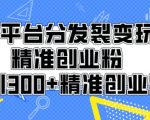 音频平台分发裂变玩转创业粉，日引300+精准创业粉