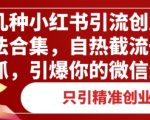 几种小红书引流创业粉方法合集，自热截流一手抓，引爆你的微信流量