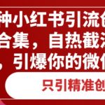 几种小红书引流创业粉方法合集，自热截流一手抓，引爆你的微信流量