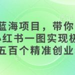 全新蓝海项目，带你吃到饱，小红书一图实现极速拉取五百个精准创业粉