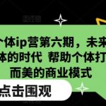 超级个体ip营第六期，未来是超级个体的时代  帮助个体打造小而美的商业模式