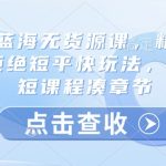 淘宝蓝海无货源课，精细运营，拒绝短平快玩法，拒绝简短课程凑章节