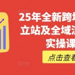 25年全新跨境出海独立站及全域流量营销实操课程，跨境电商独立站TIKTOK全域营销普货特货玩法大全
