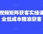 AI短视频矩阵获客实操课，企业低成本精准获客