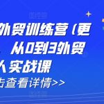 AI闪电做外贸训练营(更新25年3月)，从0到3外贸万人实战课