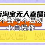 2025年淘宝无人直播带货10.0.全新技术，不违规，不封号，纯小白操作，日入数张【揭秘】