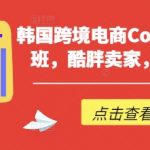 韩国跨境电商Coupang高阶班，酷胖卖家，必学课程