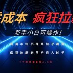 利用小红书种草知乎漏洞，零成本疯狂拉新日入数张，新手小白可操作