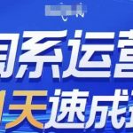 淘系运营21天速成班(更新25年4月)，0基础轻松搞定淘系运营，不做假把式