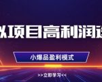 虚拟项目高利润选品方法，做好单店利润1W+，可多店倍增利润