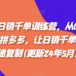 拼多多日销千单训练营，从0开始带你做好拼多多，让日销千单可以快速复制(更新25年4月)